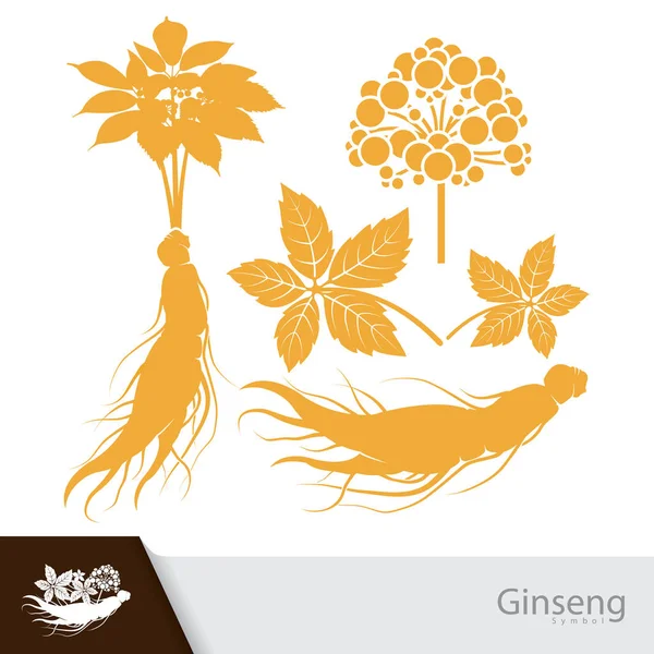 Ginseng Gyökér Levél Virág Szimbólum Elszigetelt Fehér Background Vektoros Illusztráció — Stock Vector