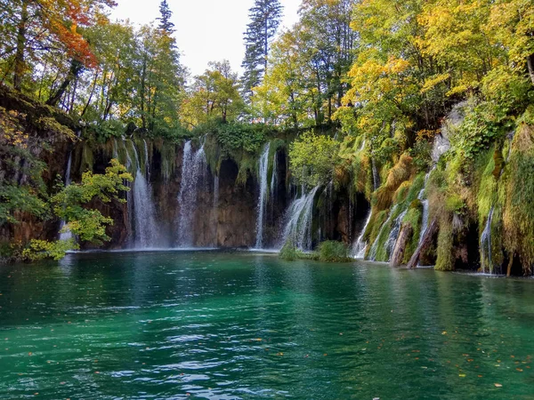 Waterfall cascades down the mountainside over moss-covered rocks amid the trees and bushes