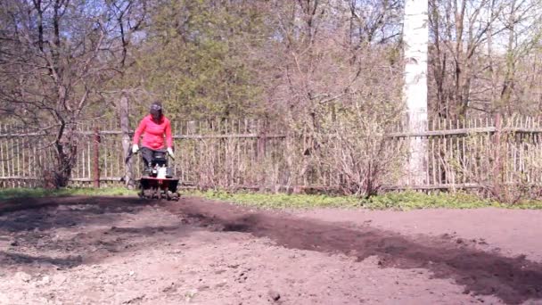 Tillage Moto Cultivator Ploughs Rips Ground — Stock Video