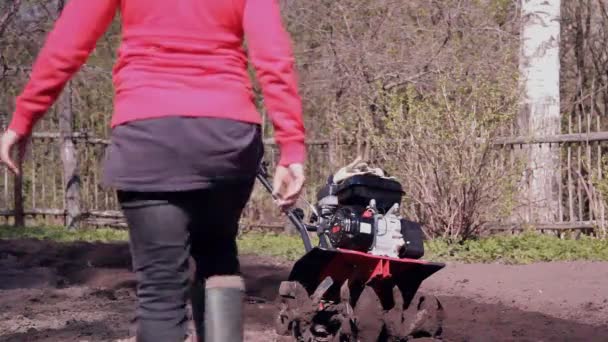 Bodenbearbeitung Moto Grubber Pflügt Den Boden Auf — Stockvideo