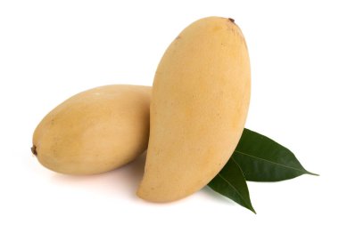 Sarı mango meyve kapalı.