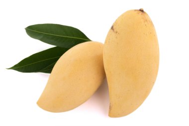 Mango meyve kapalı .
