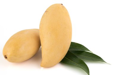 Mango meyve kapalı .