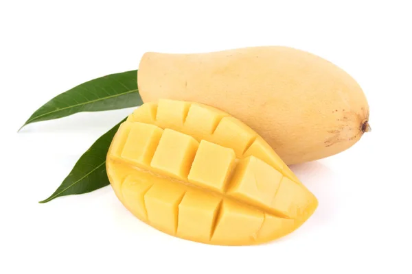 Closed Mango Fruit — Stock Photo, Image