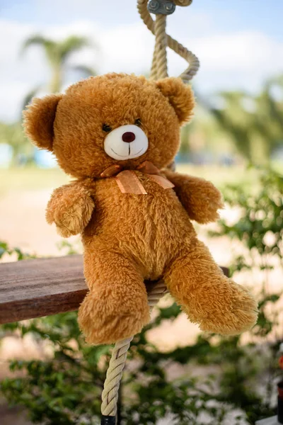 Teddy Bear Swing — Stock Photo, Image