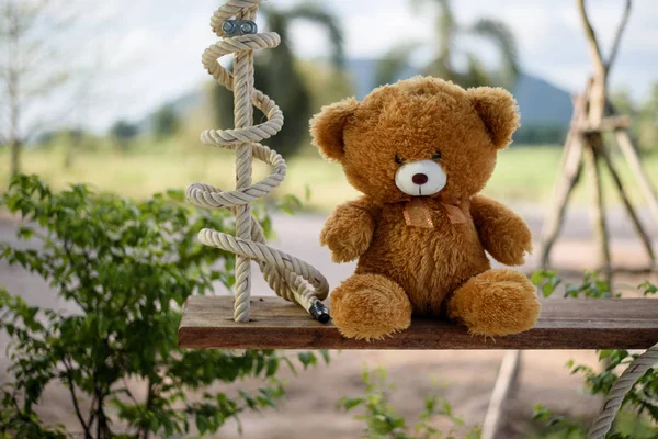 Teddy Bear Swing — Stock Photo, Image