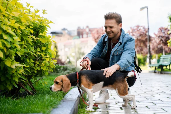 Güzel genç hippi köpeğini parkta gezdiriyor, eğleniyor ve dinleniyor. İnsanlar ve evcil hayvanlar, evcil hayvana şefkat ve şefkat. Köpek ve sahibi en iyi arkadaşlardır..