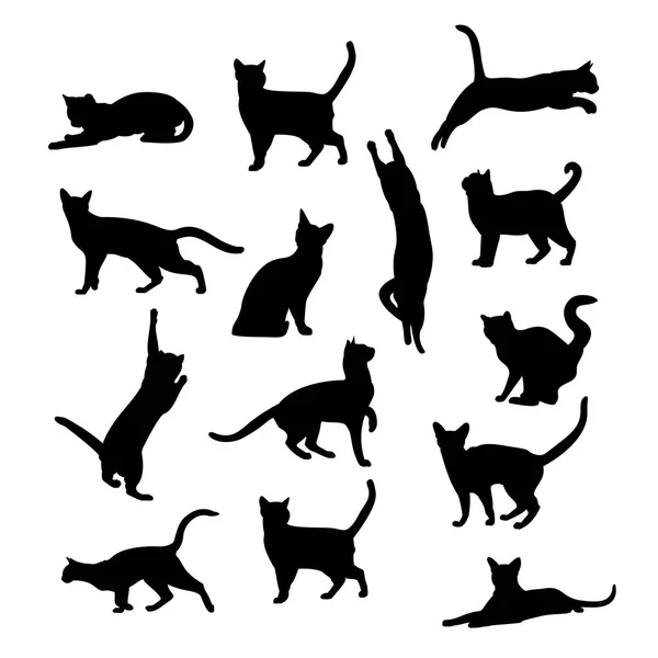 Vector silhouetten van katten — Stockvector