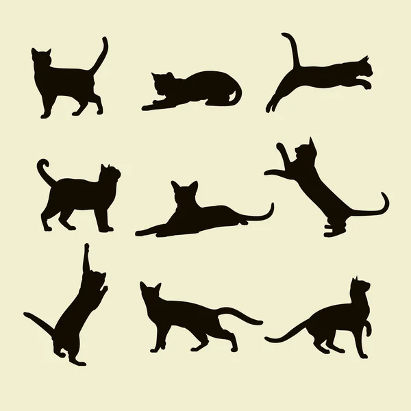 Vektor silhuetter av katter — Stock vektor