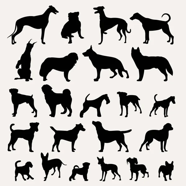 Silhouettes of dogs on a light gray background — Stock Vector