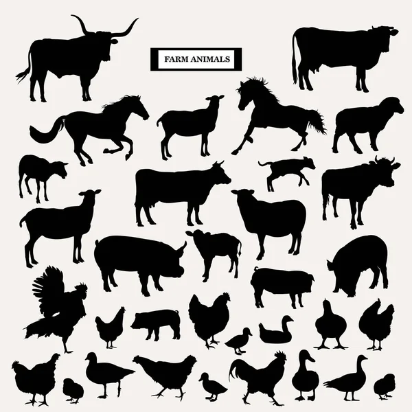 Animales de granja sobre un fondo blanco — Vector de stock