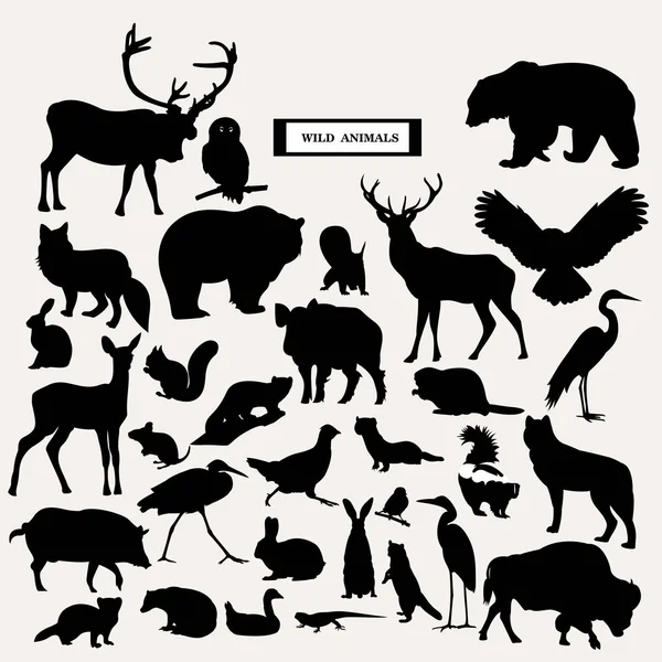 野生动物的向量轮廓 — 图库矢量图片