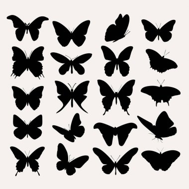 Vector silhouettes kelebek 