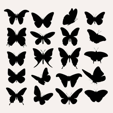 Vector silhouettes of butterfly  clipart