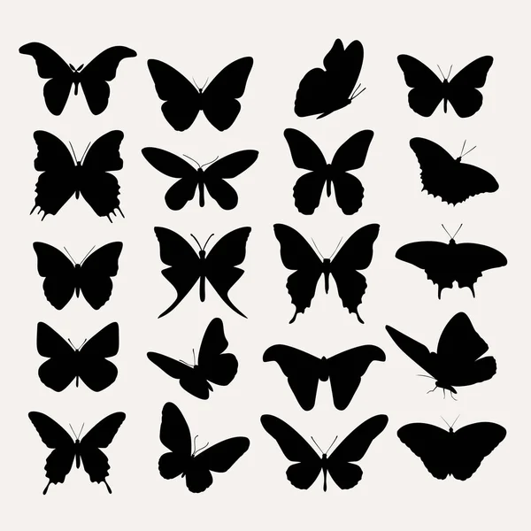 Vector silhouettes of butterfly — Stock Vector