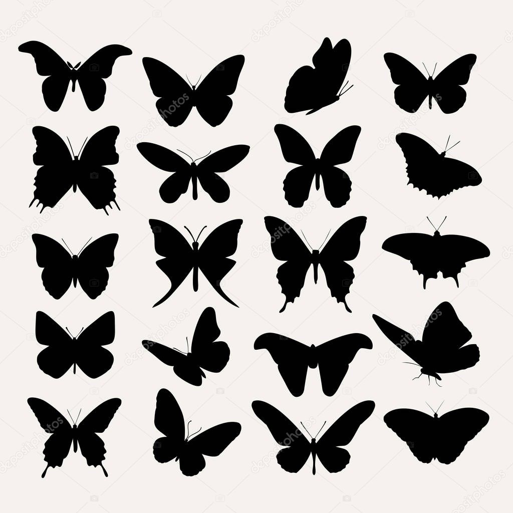 Vector silhouettes of butterfly 