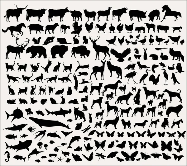 Colección de siluetas vectoriales animales — Vector de stock