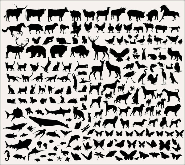      Collection of vector animal silhouettes 