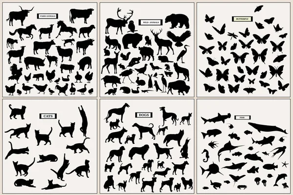 不同动物剪影的集合 — 图库矢量图片