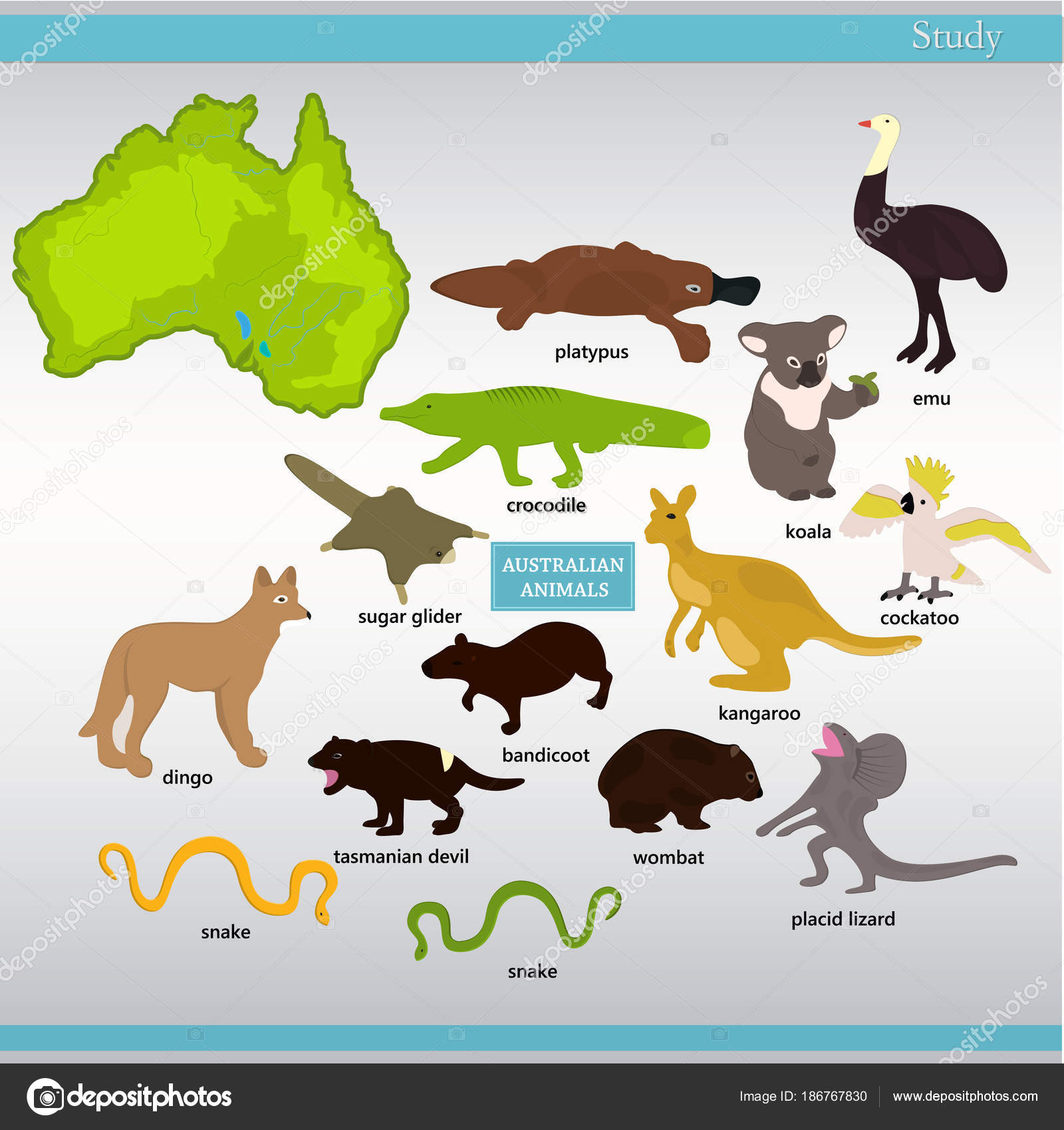Ensemble Animaux Australiens Avec Des Noms Image