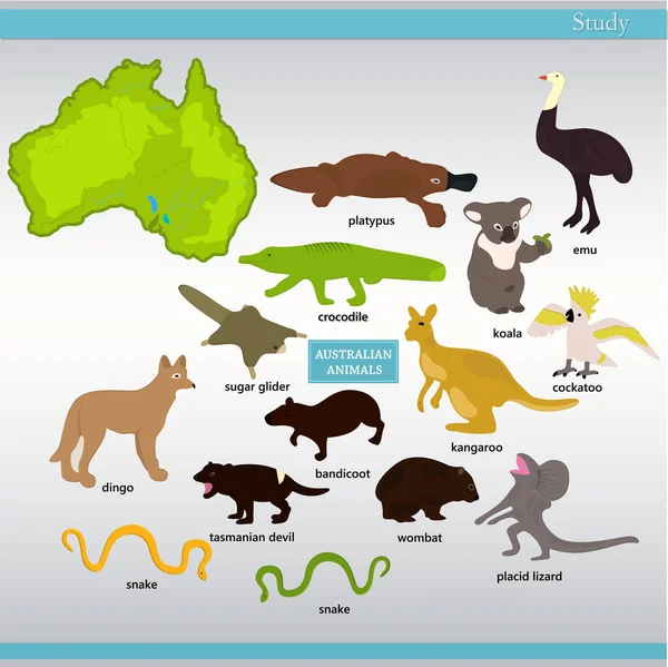 Sada Australských Zvířat Názvy — Stockový vektor