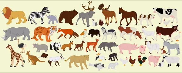 一组不同的农场动物 非洲和澳大利亚在光的背景下 — 图库矢量图片