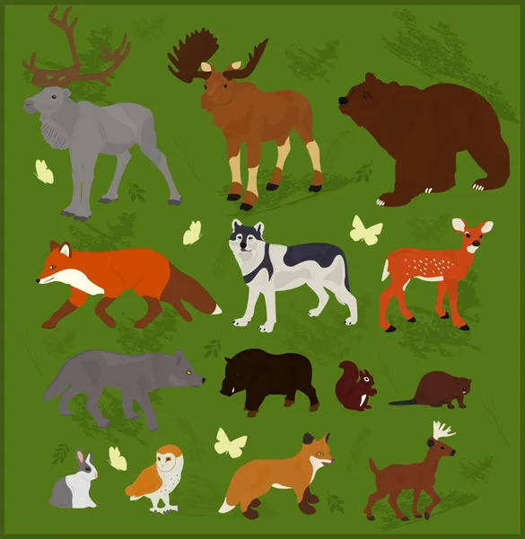 Conjunto Animales Del Bosque Sobre Fondo Verde — Vector de stock