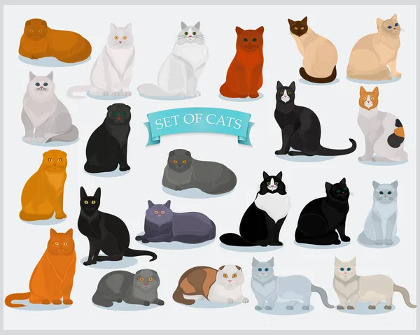 Set Kucing Dari Ras Yang Berbeda Pada Latar Belakang Cahaya - Stok Vektor