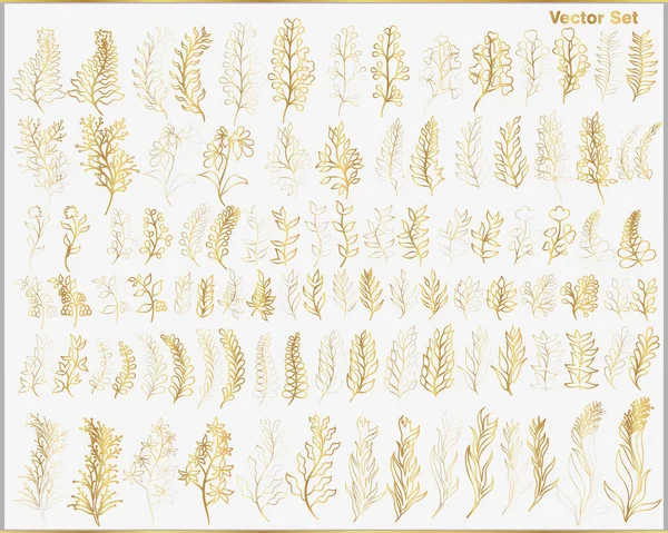 Vektor Sammlung Von Goldpflanzen Blättern Und Zweigen Auf Hellem Hintergrund — Stockvektor