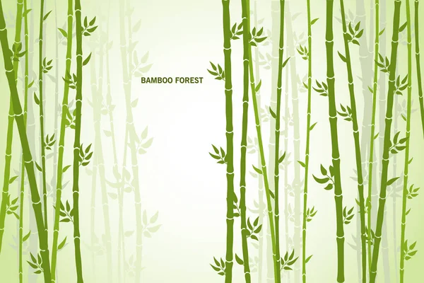 Biglietto Auguri Vettoriale Con Bambù Sfondo Chiaro — Vettoriale Stock