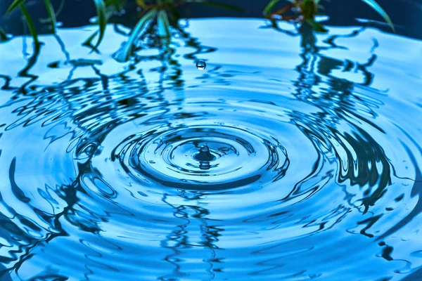 雨は水面に降る。 — ストック写真