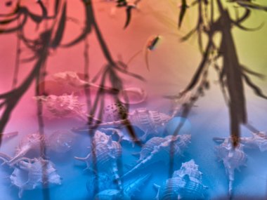 Yağmur damlaları suyun yüzeyine düşer.