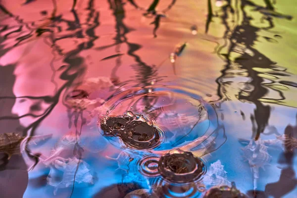 Raindrops fall on the surface of the water