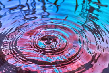 Yağmur damlaları suyun yüzeyine düşer.