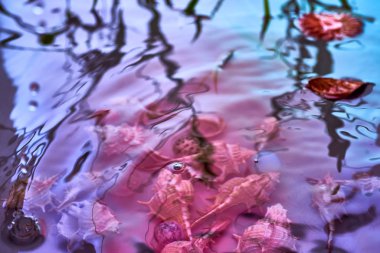 Yağmur damlaları suyun yüzeyine düşer.