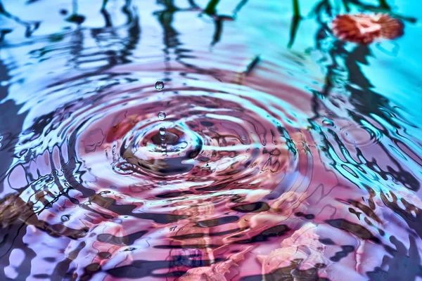 Regendruppels vallen op het wateroppervlak — Stockfoto