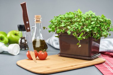 Plastik bir kutuda duran genç bir mikro yeşil brokoli kesme tahtasının üzerinde duruyor. Evde yetişen yeşiller..