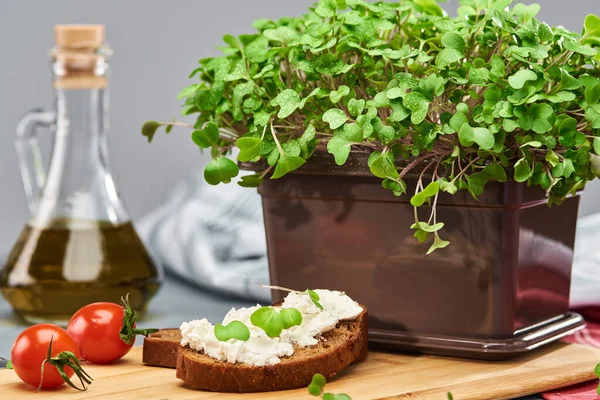 Jonge Microgroene Broccoli Een Plastic Doos Een Broodje Met Kwark — Stockfoto