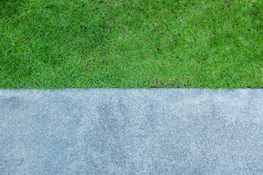 Background texture of grass and paviment in park close up