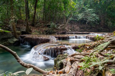 Şelale ulusal parkta orman, uzun pozlama, Kanchanaburi, Tayland