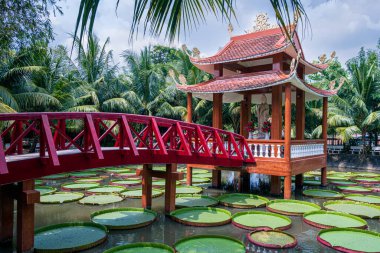 Göletin ortasında küçük bir Budist tapınağı heykel ve kırmızı ahşap köprüsü olan çiçekler.