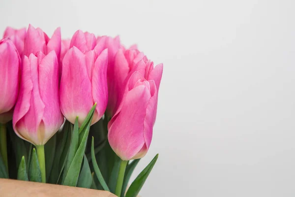 Beyaz arka planda, pastel mercan renkli pembe laleler, yakın plan..