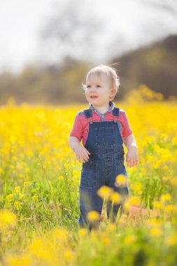 Küçük oğlan baharda çayırda karahindiba ile eğleniyor..