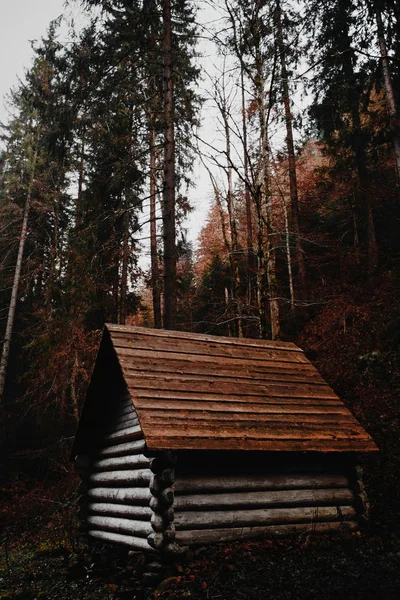 Holzhütte Der Nähe Des Synevyr Sees — Stockfoto