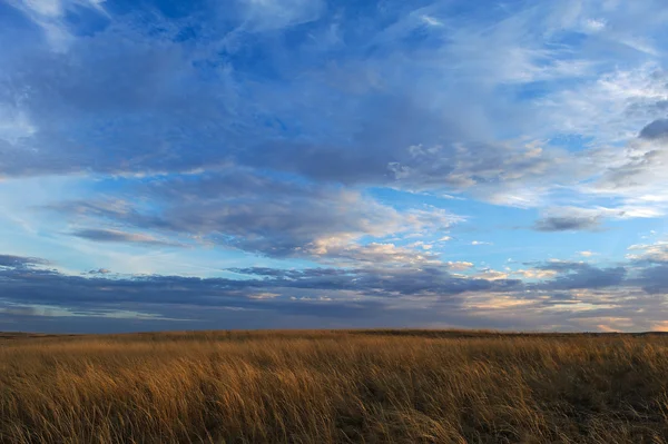 Coucher de soleil d'automne sur la prairie . — Photo