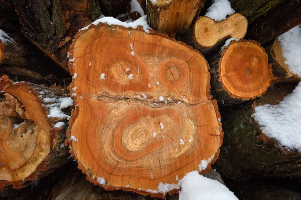 冬天的原木的面孔 雪下的柴火 抽象背景纹理 — 图库照片