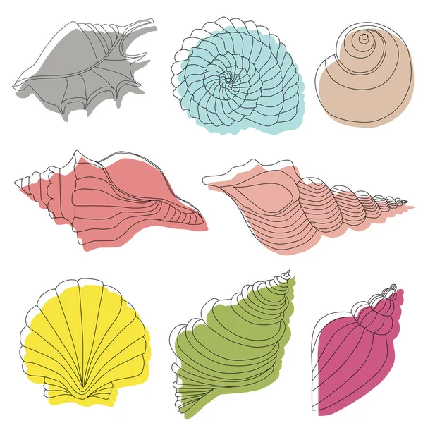 Sea shells.  Line work.  Isolated image on white background. — Stock Vector