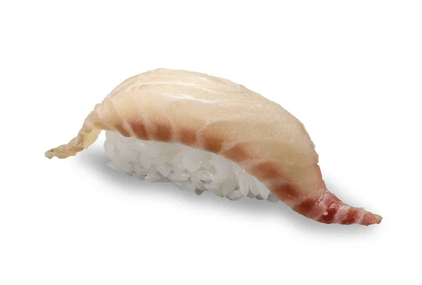 Sushi di persico su sfondo bianco. Nigiri — Foto Stock