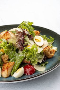 Klasik Yunan domates salatası, salatalık, kırmızı biber, zeytinli soğan, kekik ve peynir. Dekoratif bir tabakta