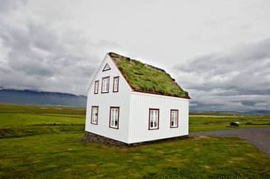 Yağmurlu bir günde arka planda yeşil çayırlar ve dağlarla çevrili tipik İzlanda beyaz evi.